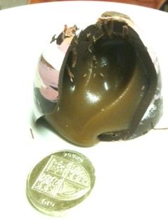 valentines dome open