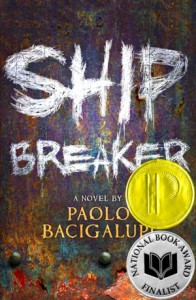 ShipBreaker