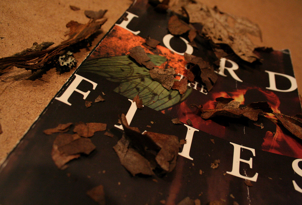 Lord of the Flies cover