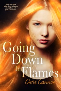 Cover of Going Down in Flames by Chris Cannon