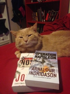 A warm, snoozy cat and new books -- could life be better?