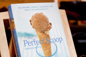 Perfect+Scoop-1794