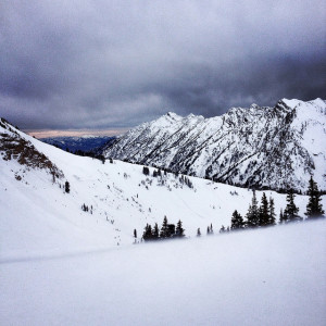 Top of Alta