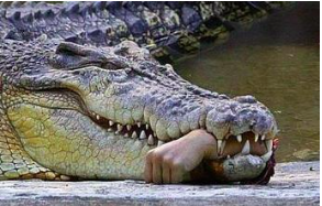 Screenshot 2015-05-04 18.54.35