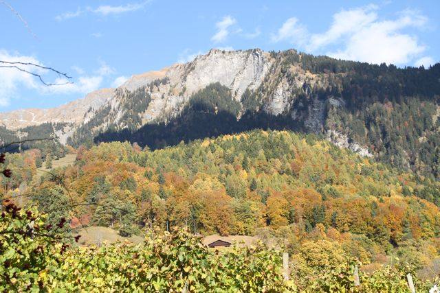 swissgerman wine region