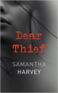 6a00d8341c674653ef01b7c76ddea5970b-320wi