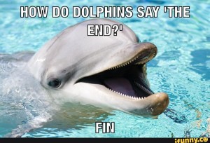 dolphin pun