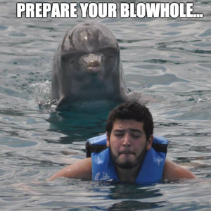 prepare-your-blowhole-dolphin-meme