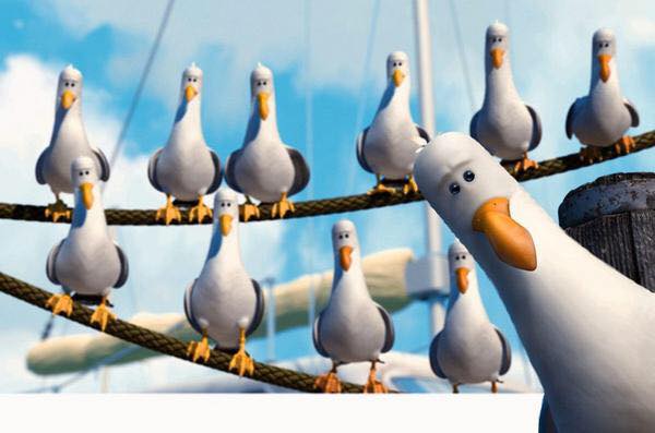 nemo seagulls