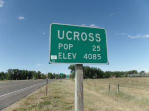 TCD - U Cross Population