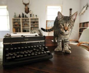 Hairy Truman - https://www.hemingwayhome.com/cats/