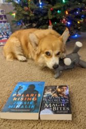 Pembroke Welsh corgi chewing on a dog toy with two book in the foreground. The books are Polaris Rising by Jessie Mihalik and Magic Bites by Ilona Andrews
