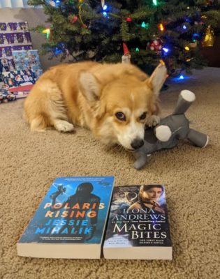 Pembroke Welsh corgi chewing on a dog toy with two book in the foreground. The books are Polaris Rising by Jessie Mihalik and Magic Bites by Ilona Andrews