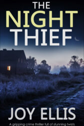The Night Thief