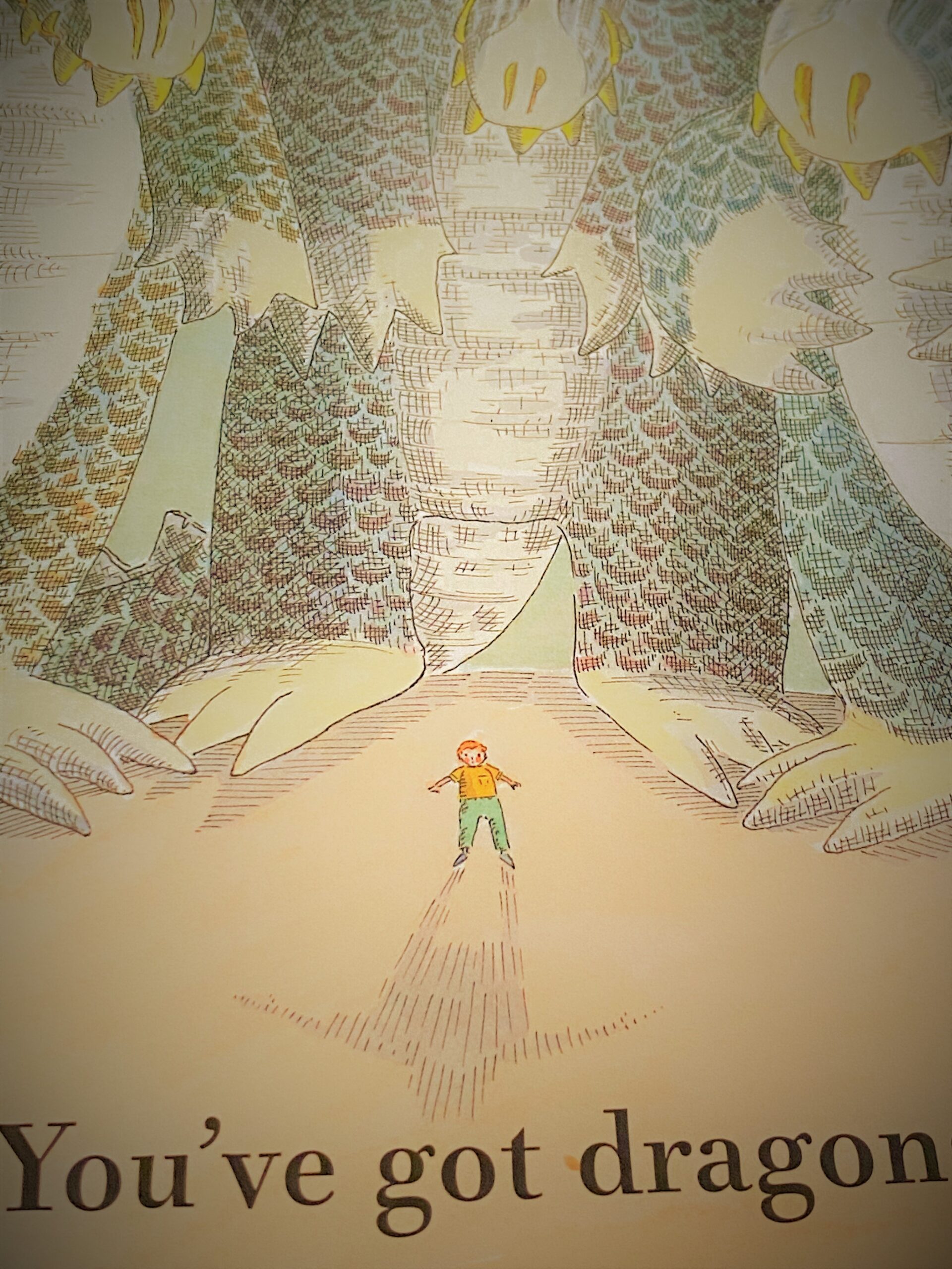 illustration of a boy facing dragons, text at bottom reads you've got dragons