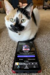 A small, calico cat lying down with her legs tucked underneath behind a cell phone showing a picture of the audio book "Brief Cases" by Jim Butcher