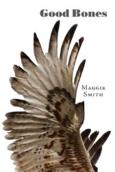an extended hawk's wing on the cover of good bones, a poetry collection by maggie smith