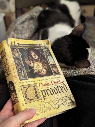 The book, "Uprooted" by Naomi Novik being held next to the head of a black and white cat that is lying down on top of a person's legs.