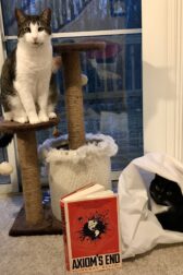 two cats, a scratching post, and a hardcover copy of Axiom's End