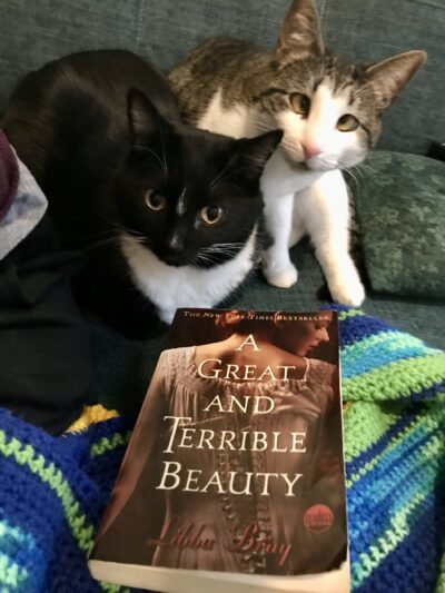 cats with copy of an annoying book
