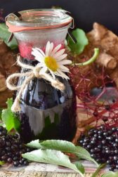 Real elderberry flowers and wine photo with link to elderberrywine bio