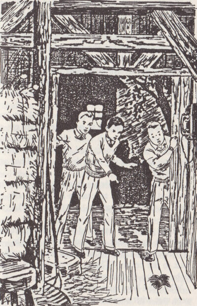 Illustration from the Tower Treasure. Frank, Joe, and Chet find a wig.