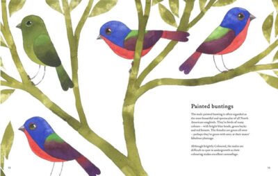 Painted bunting