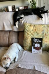 Cat on the back of the couch, dog on the seat, framing a book