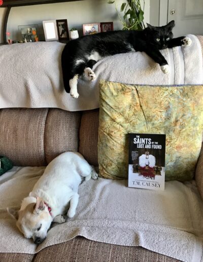 Cat on the back of the couch, dog on the seat, framing a book