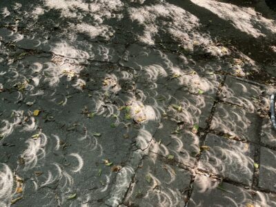 Crescents of light dapple the shadows during a solar eclipse.