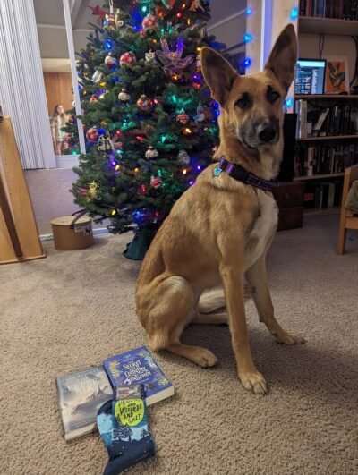 A dog sitting in front of a Christmas tree with two books and a pair of socks in the foreground.