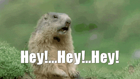 A gif of a gopher yelling Hey! over and over again