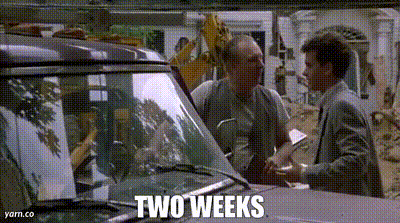 A gif from the movie The Money Pit. Tom Hanks and a contractor saying “Two weeks?” “Two weeks.”