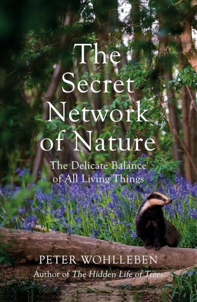 Cover of The Secret Network of Nature. An English badger amongst bluebells in coppice woodland, Kent, England