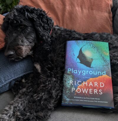 A black dog with curly fur is lying on a couch. A physical copy of Richard Powers’ book, Playground, is resting against the dog’s chest. The dog looks tolerant.