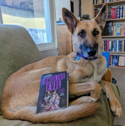 A large dog that looks similar to a German Shepherd dog curled up on a chair with the book "Long Live Evil" by Sarah Rees Brennan lying next to the dog.