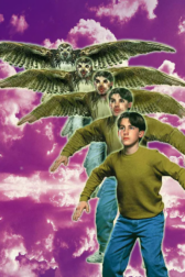 A boy wearing a sweatshirt and jeans morphs into a hawk against a purple background.
