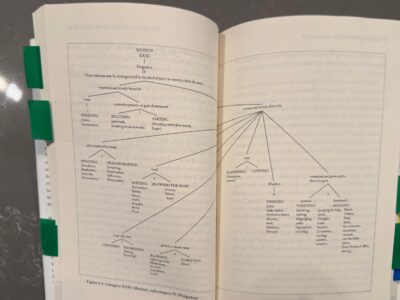 Breakdown of "Purgation" by John Wilkins