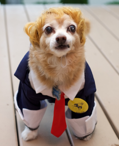 Oscar as the former president